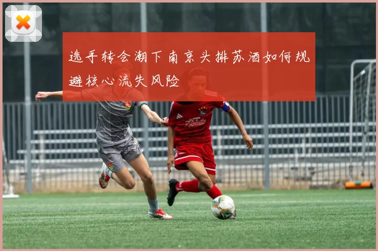 选手转会潮下南京头排苏酒如何规避核心流失风险
