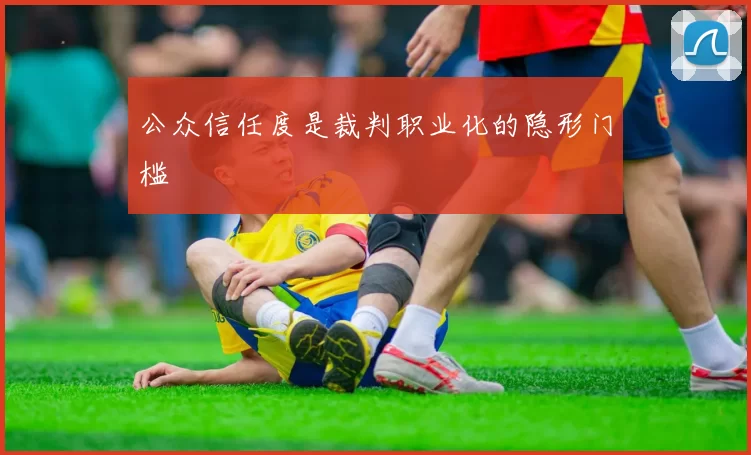 公众信任度是裁判职业化的隐形门槛
